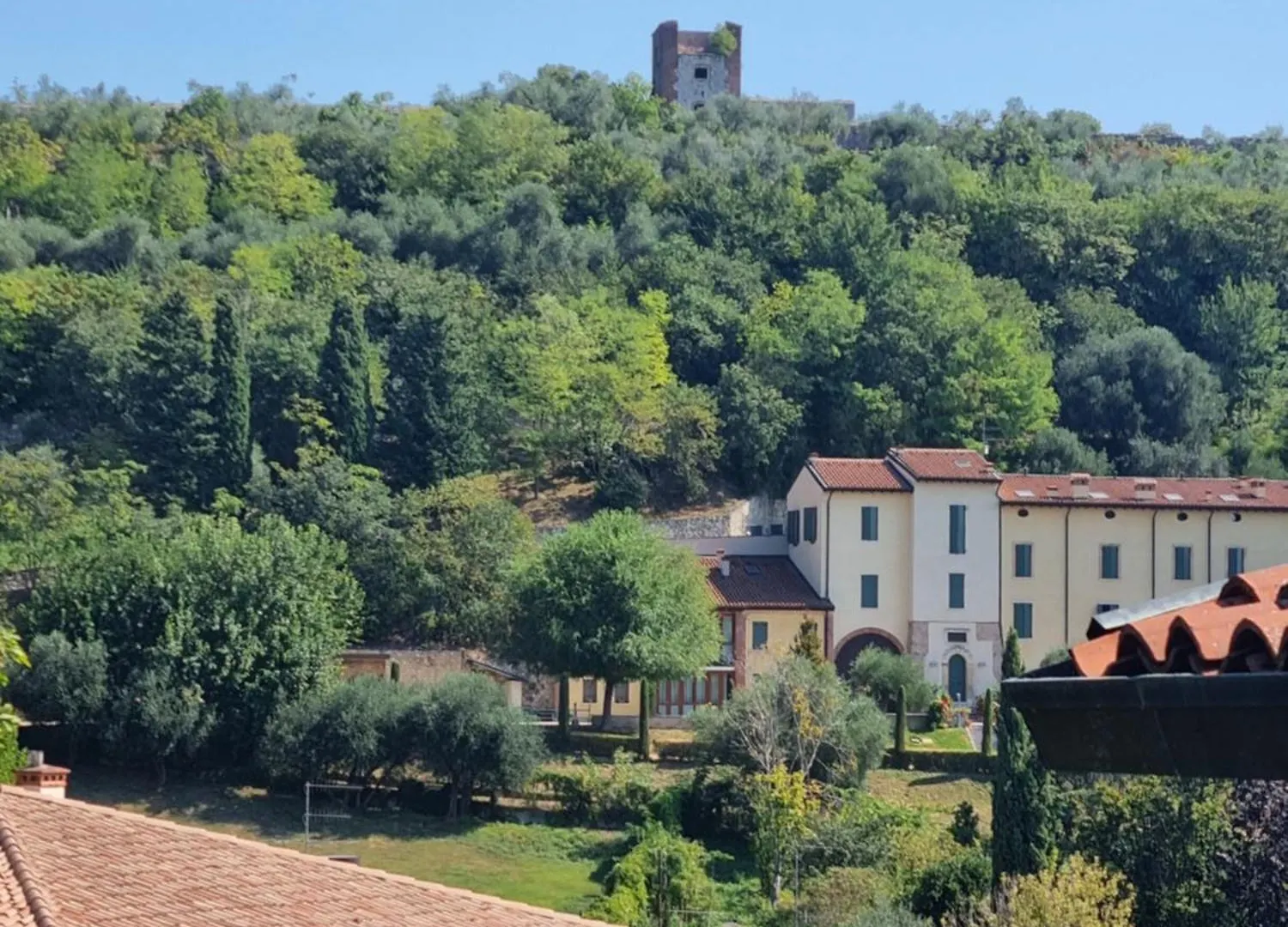 Dear George, House Apartment Verona